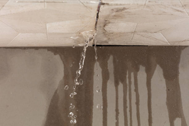 Professional Structural Drying technician working in Clifton, TX